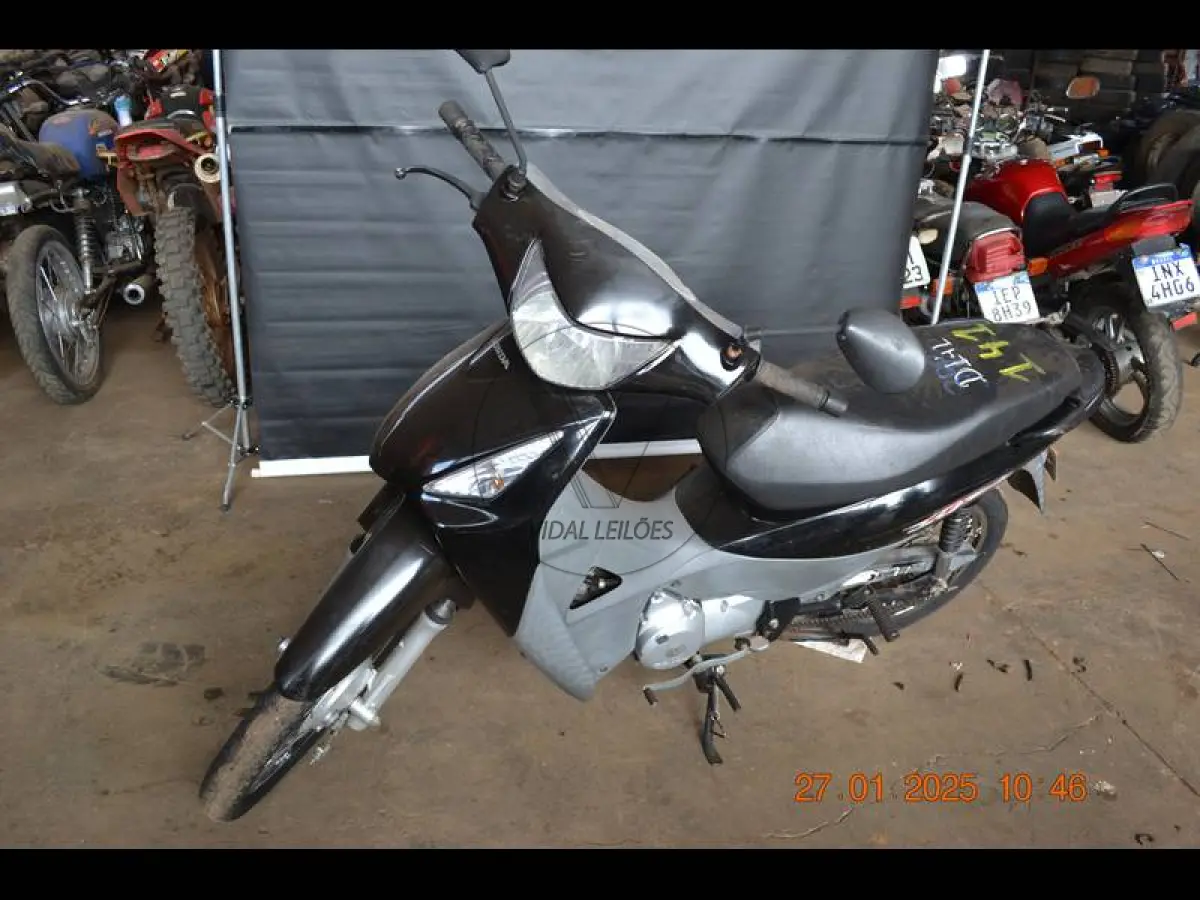 LOTE 0141