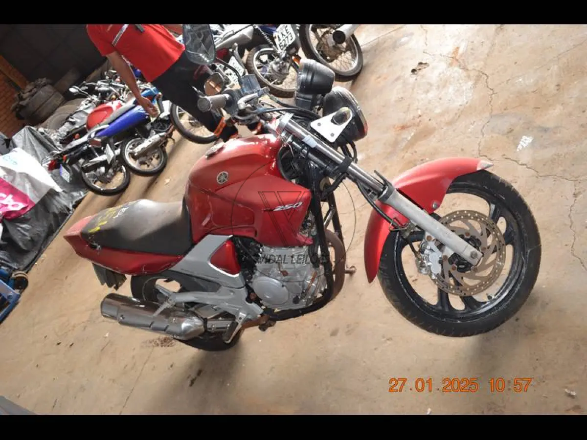 LOTE 0154