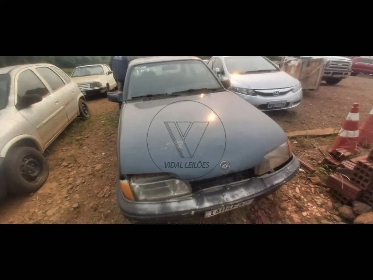 LOTE 0029