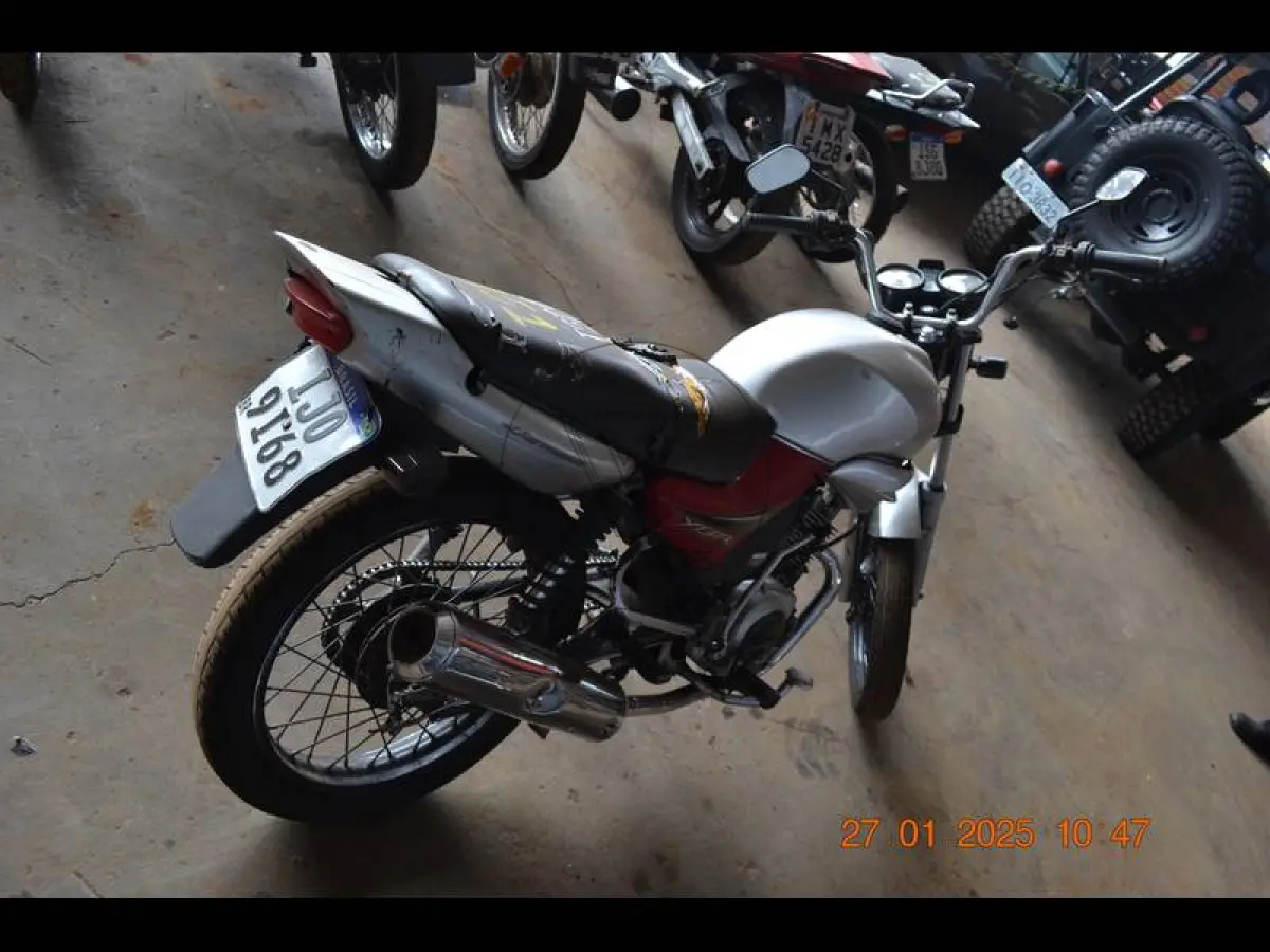 LOTE 0151