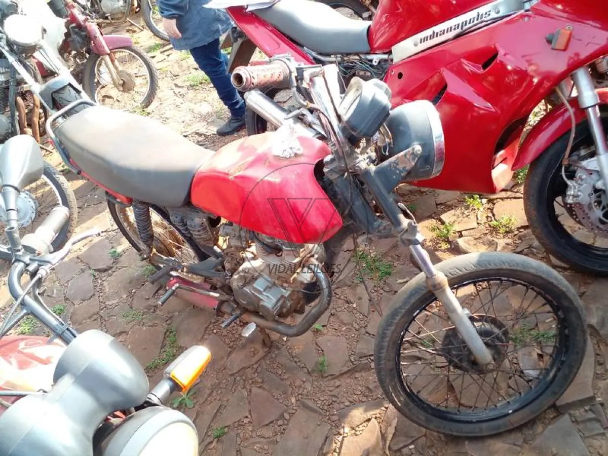 LOTE 0043