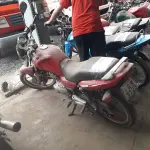 Foto 13