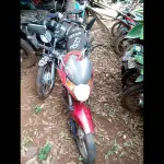 Foto 14