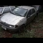 Foto 7
