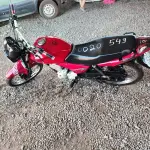 Foto 10