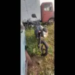 Foto 10