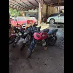 Foto 6